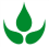 plant.png